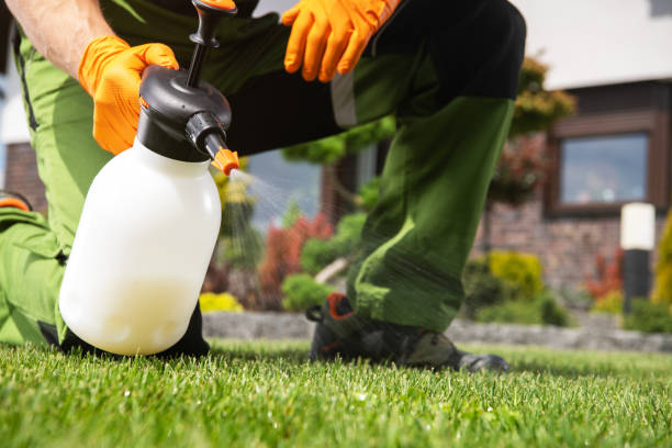 Trusted Naples, TX Pest Control Experts