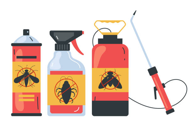 Best Termite Control Services  in Naples, TX
