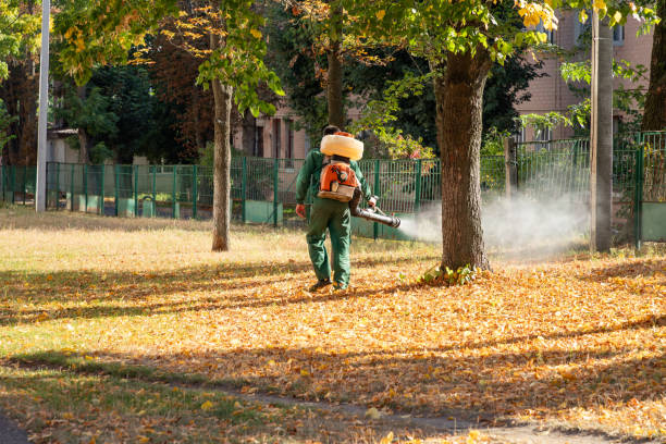 Best Rat Extermination Near Me  in Naples, TX