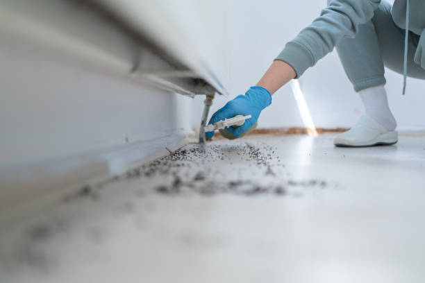 Best Rodent Control Near Me  in Naples, TX
